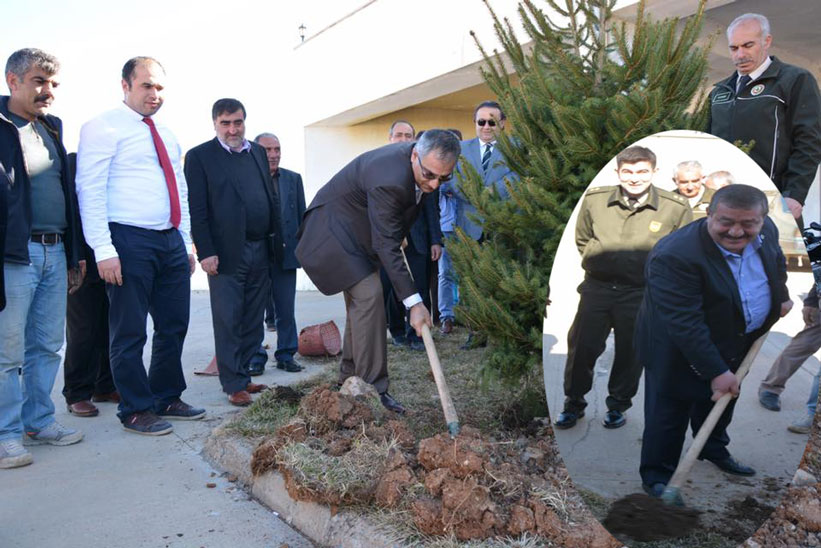 Hastanene Bahçesine Ağaç Diktiler