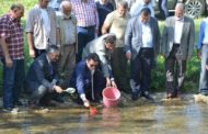 Gümüşhane Valisi Ve Beraberindekiler Balahor Deresine Yavru Kırmızı Benekli Alabalık Bıraktılar