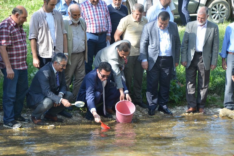 Gümüşhane Valisi Ve Beraberindekiler Balahor Deresine Yavru Kırmızı Benekli Alabalık Bıraktılar