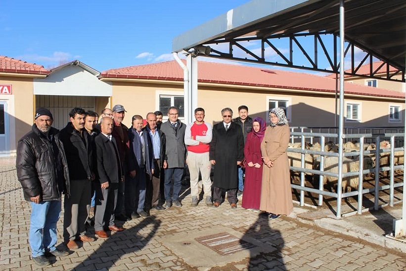 Gıda Tarım Ve Hayvancılık Müdürlüğü Genç Çiftçilere Küçükbaş Hayvan Dağıtımı Gerçekleştirdi