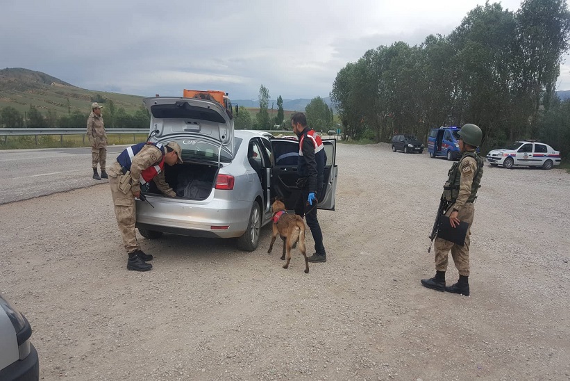 İlçe Jandarma NARKOTİK Köpekleriyle Uygulama Yaptı