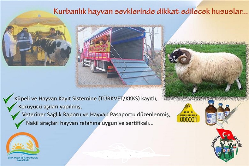 Kurbanlık Hayvan Nakilleri Kuralları Açıklandı