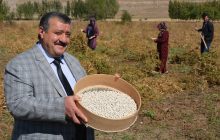 Başkan Yılmaz Kelkit Kuru Fasulyesini Markalaştırmak İçin Çalışmalarımıza Devam Ediyoruz.