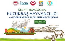 Küçükbaş Hayvancılığı Ve Kooperatifçiliği Geliştirme Çalıştayı 17-18 Ocak