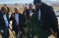 Kelkit'te Fidan Kampanyasına Dahil Oldu