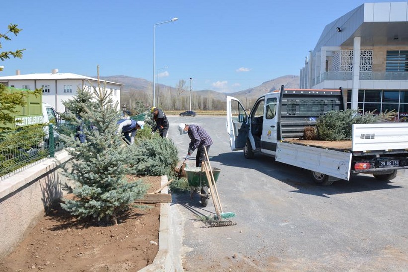 Başkan Nas Oturma Alanları Ve Ağaçlandırma Çalışmalarına Devam Ediyoruz.