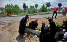 Başkan Nas Ekiplerimiz Yeşil Alanlarda Bakım İşlemine Devam Ediyor.