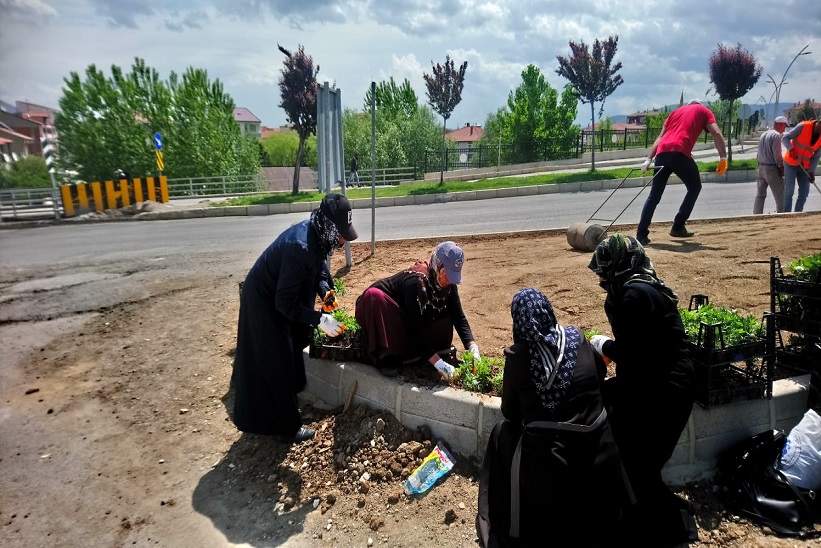 Başkan Nas Ekiplerimiz Yeşil Alanlarda Bakım İşlemine Devam Ediyor.