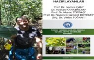 Fındık Hasadı Emin Ellerde.