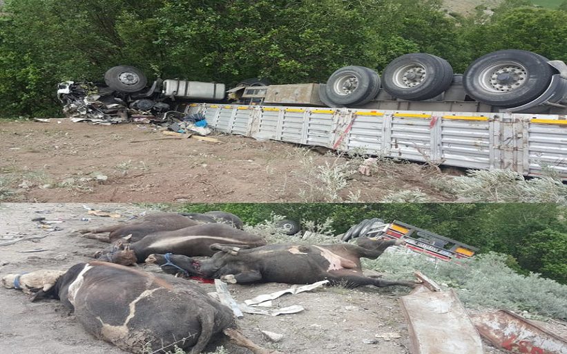 Pöske Dağında Trafik kazası 1 ölü